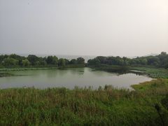 -上海市保健医疗中心