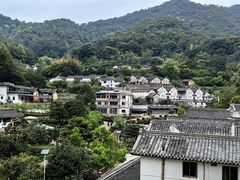 -雁南飞茶田景区