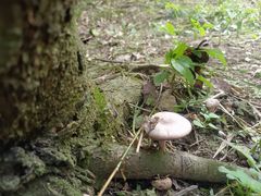 -渤公岛生态公园