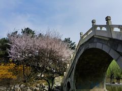 -团结湖公园