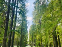 -渌洋湖湿地公园