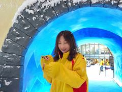 -世界之窗阿尔卑斯冰雪世界