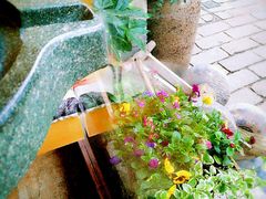 -品腐记·豆腐王朝(老门东总店)