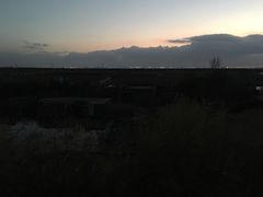 -上海崇明金茂凯悦酒店