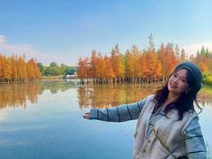 -白鹭湾湿地公园