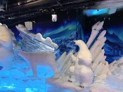 -海合安成都极地海洋公园
