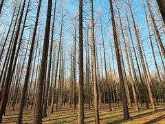 -河南省黄河迎宾馆