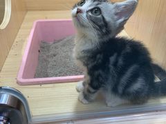 -原味田园·客家菜·土窑鸡(中航城君尚购物中心店)