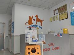 -美美宠物诊疗中心·异宠·骨科(滨江东信分院)