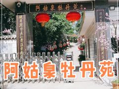 -盛世牡丹苑生态文化旅游区