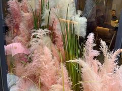 -拈菜(观音桥阳光世纪店)