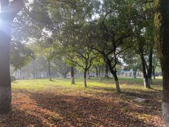 -永安龟山公园
