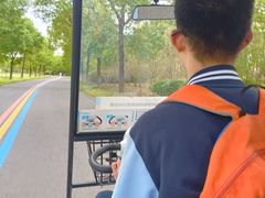 -南湖湿地公园
