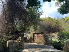 -深圳国际园林花卉博览园