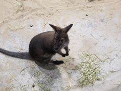 -北戴河圣蓝海洋公园
