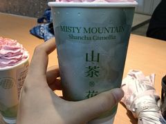 -雾与山茶(大禹城店)