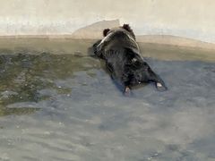 -青藏高原野生动物园