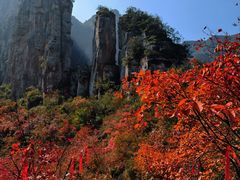-青龙山生态文化旅游区(慈云寺)