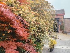 -Bamboo Today Cafe(国创园店)