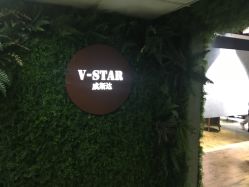-V-STAR威斯达•高级私人定制