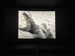 -CGV影城(金银潭激光IMAX店)