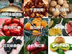 -天津北站