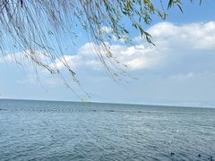 -大理洱海