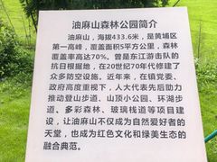 -黄埔油麻山森林公园