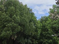 -南华大学(红湘校区)