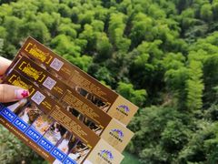 -将军关探险漂流