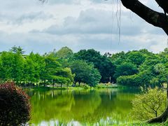 -东莞植物园