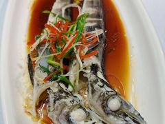 -白家餐厅(徐家汇店)