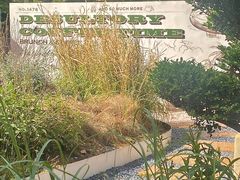 -翠贝卡&Mama Kelly Brunch Coffee(河西店)