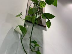 -醉牛腩·面小馆