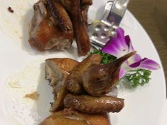 -东国海鲜火锅城(氹仔店)