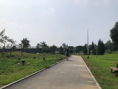 -上林马术中央公园·户外露营·团建·骑乘