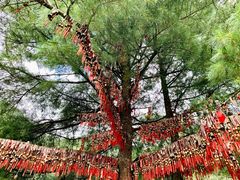 -苍山感通索道