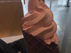 -麦当劳(花园北路店)