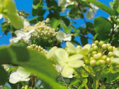 -合肥三国新城遗址公园