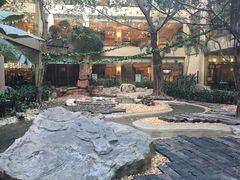 -白虎自助餐厅·真老虎·景观自助餐厅(广州长隆酒店)