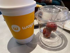 -Wagas沃歌斯(汇智店)