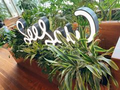 -Seesaw Coffee(朝阳大悦城店)