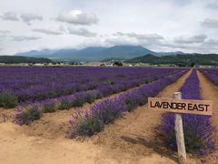 -富田农场