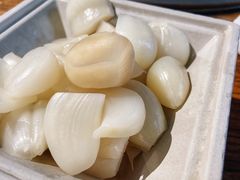 -额尔敦草原涮羊肉·烧烤(冻青树总店)