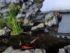 -道南書院·私房菜·早午茶·茶馆