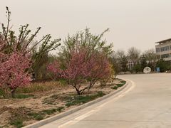 -兰州财经大学(和平校区)