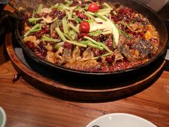 -老板恋上鱼(振华商厦店)