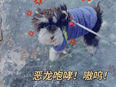 -丁香湖公园