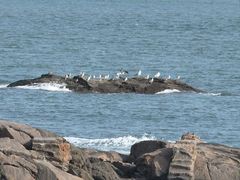 -海合安青岛极地海洋公园