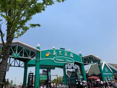 -荷兰花海